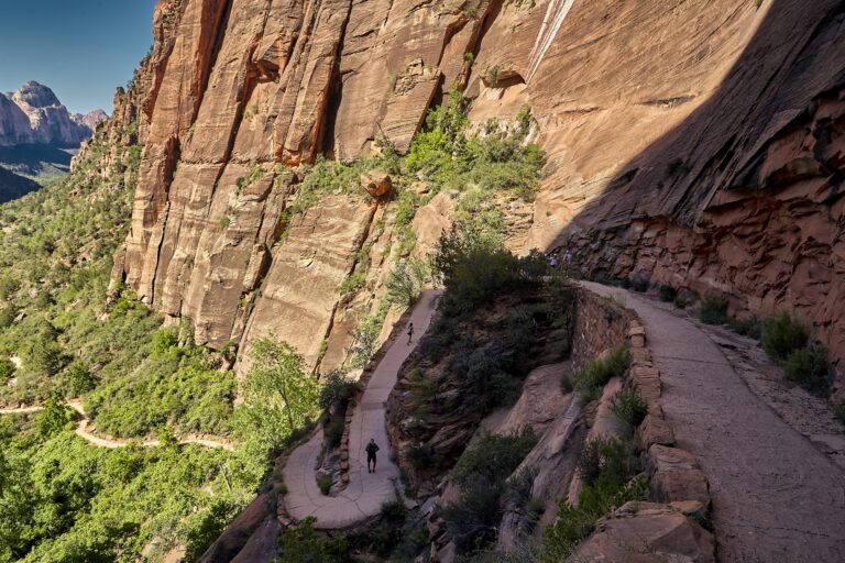 A sunny scenery of the Zion National Park located in Utah, USA